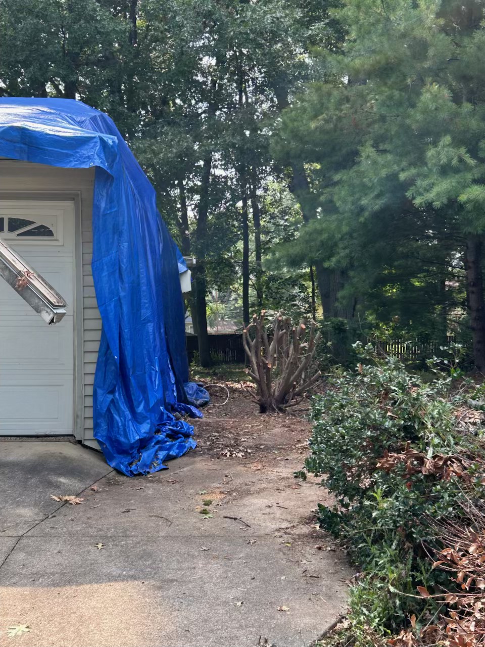 Swept driveway and cleared yard beside the garage after junk removal